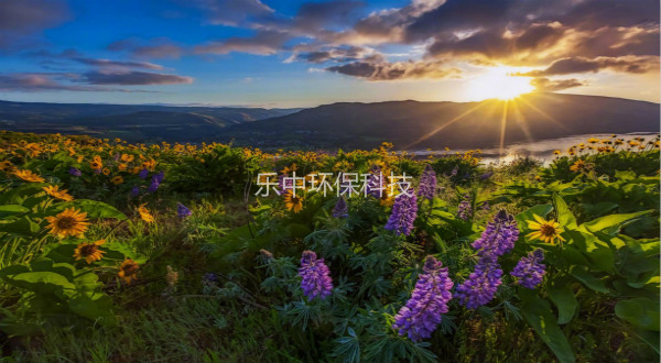 污水處理廠活性污泥法日常管理中，需要監(jiān)測(cè)與注意的參數(shù)-樂(lè)中環(huán)保