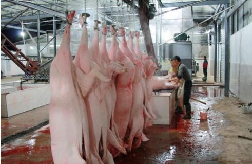 屠宰廢水處理方法有哪些？屠宰廢水處理設(shè)備價(jià)格？-01