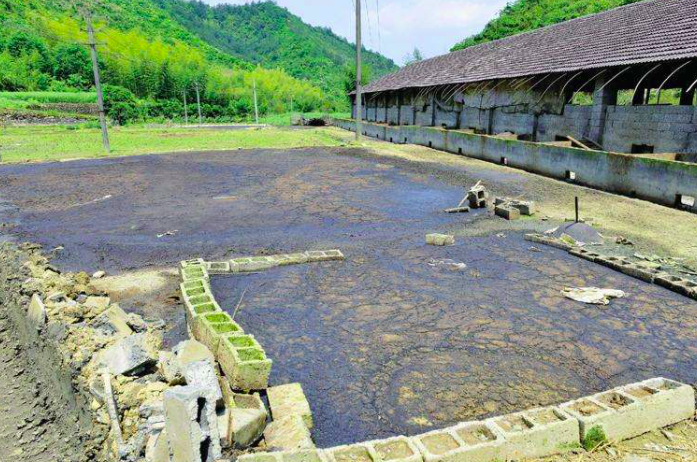 養(yǎng)豬污水變清水最快方法，養(yǎng)豬場(chǎng)污水處理方法有哪些-樂(lè)中環(huán)保