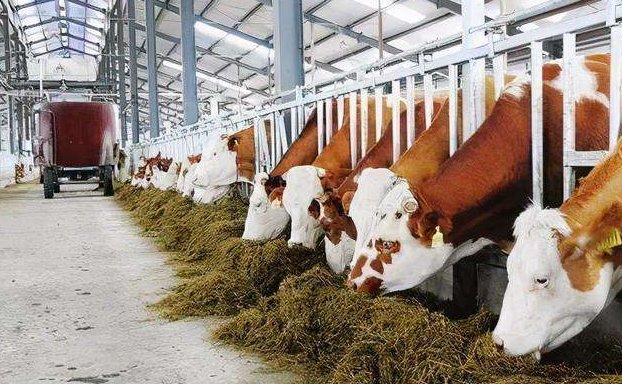 養(yǎng)殖污水處理設(shè)備的如何調(diào)試才能保障正常運行？02