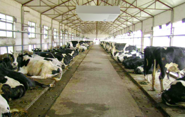 養(yǎng)殖屠宰污水處理設(shè)備使用前，要注意這兩點！01