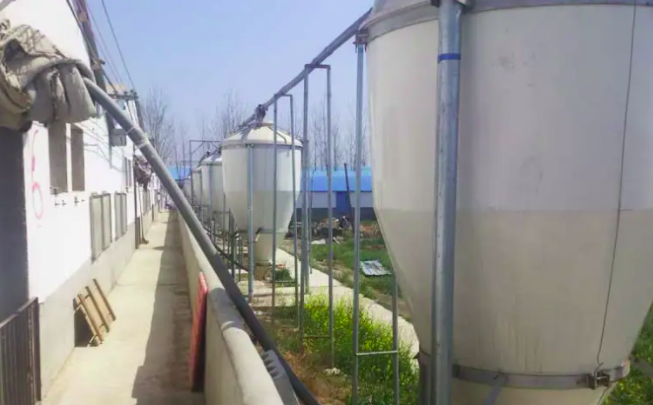 養(yǎng)豬污水處理設(shè)備一套多少錢？掌握這三點(diǎn)幫助你節(jié)約成本