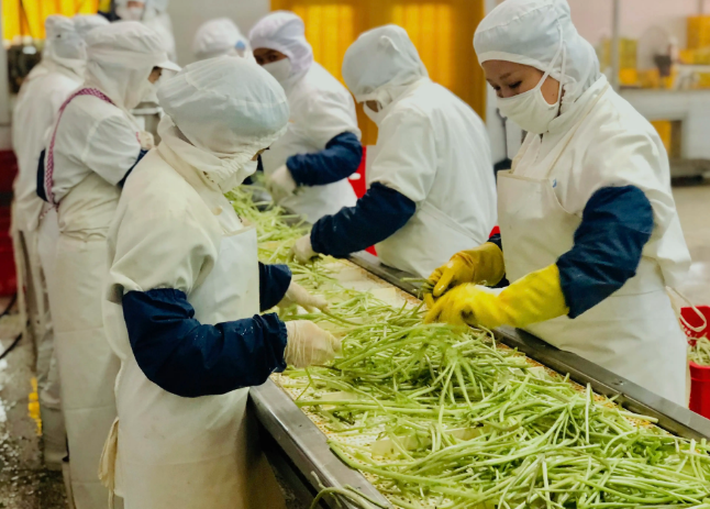 三種食品污水處理設(shè)備工藝流程，看看哪種適合您？