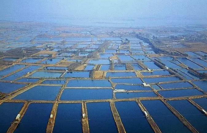 一次性說清楚水產(chǎn)養(yǎng)殖廢水的主要處理工藝 一次性說清楚水產(chǎn)養(yǎng)殖廢水的主要處理工藝