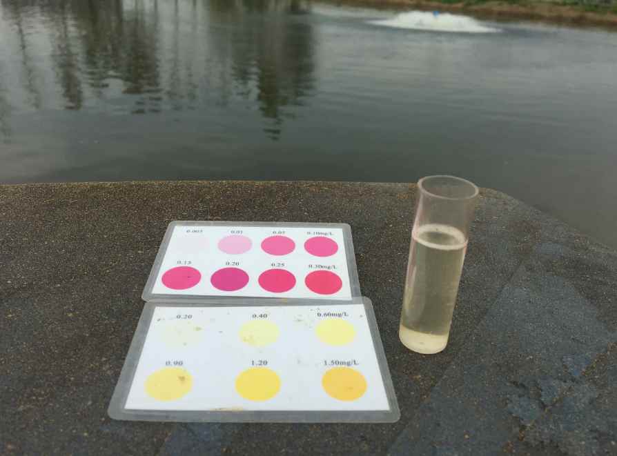 總氮超標(biāo)怎么處理氨氮不超標(biāo)(氨氮超標(biāo)怎么辦)-02 總氮超標(biāo)怎么處理氨氮不超標(biāo)(氨氮超標(biāo)怎么辦)-02