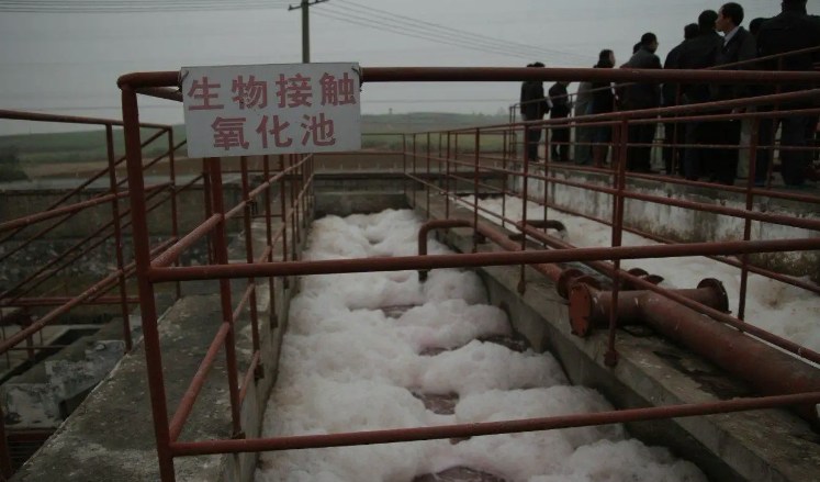生物接觸氧化池的作用是什么？（生物接觸氧化池去除什么）-01