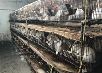 養(yǎng)殖廢水處理設(shè)備廠家_樂(lè)中