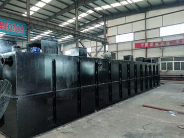 揭秘：海鮮加工廠如何有效處理清洗廢水？